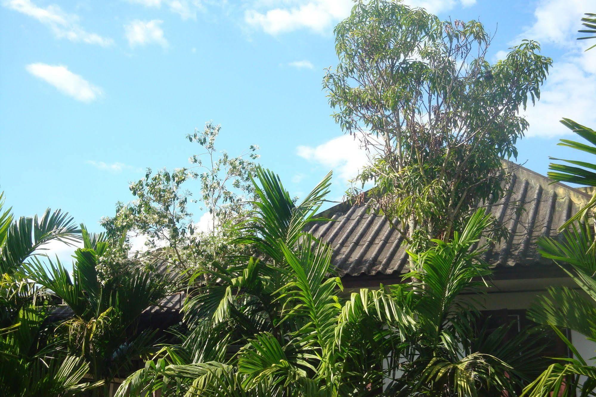 Ming Guesthouse Pai Buitenkant foto