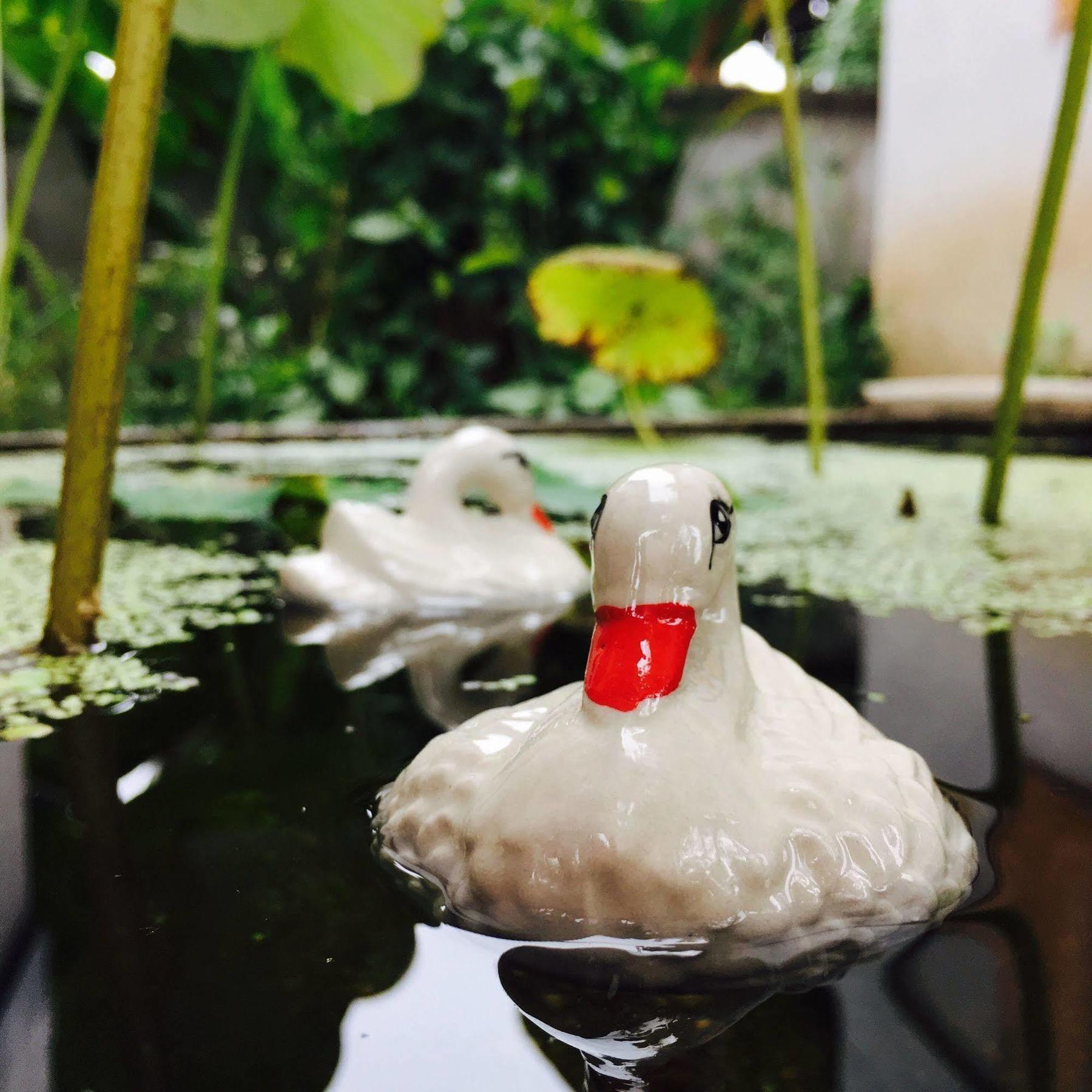 Ming Guesthouse Pai Buitenkant foto