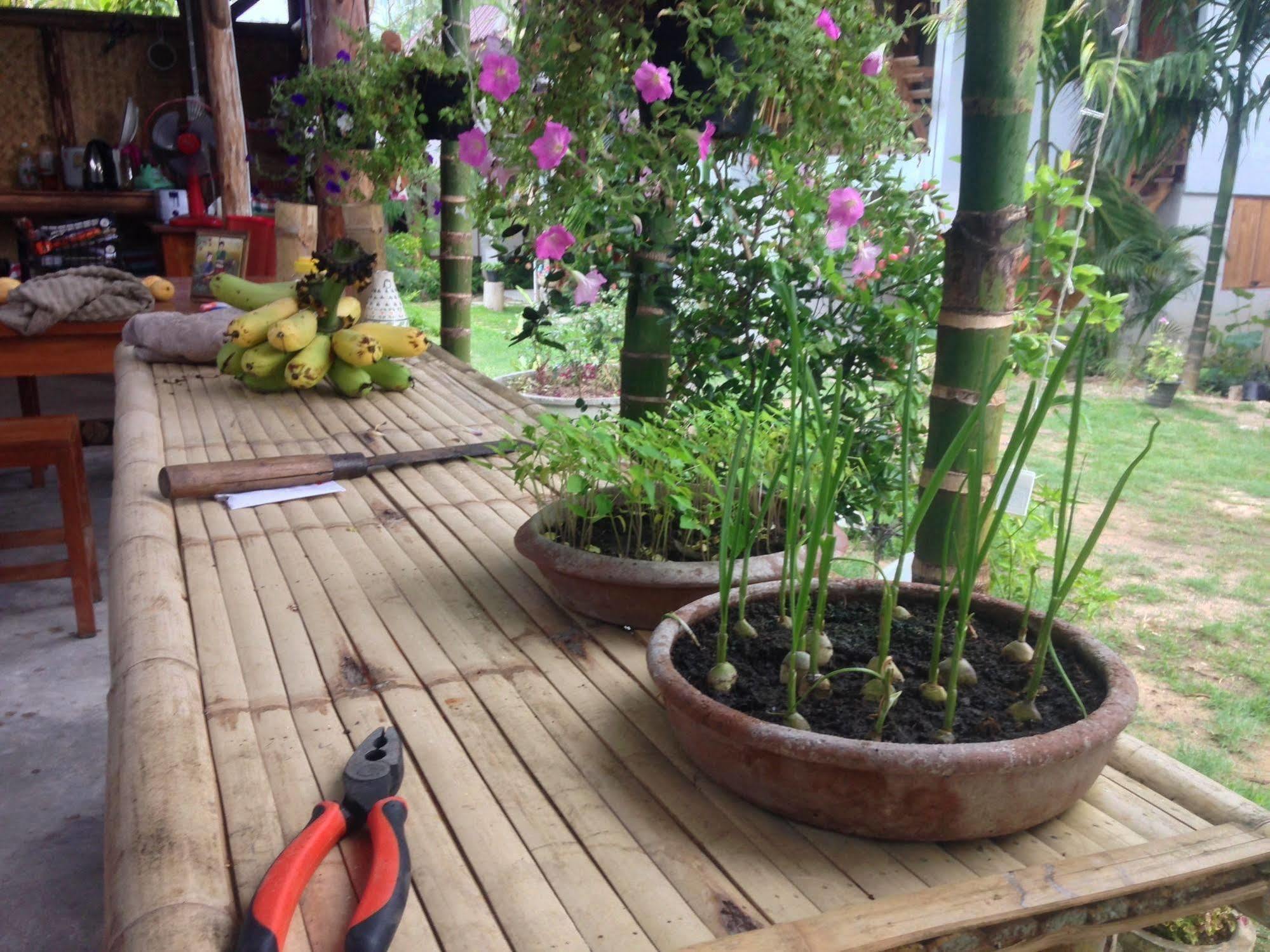 Ming Guesthouse Pai Buitenkant foto